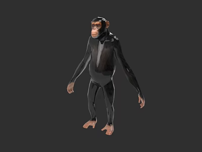 Standing Chimpanzee 3D Model With Realistic Features And Gray Background 3d model