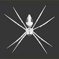 Reflective Transparent Crystal Spider Sculpture With Geometric Design On Dark Background