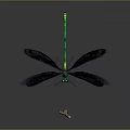 Green and Black Dragonfly with Slender Body and Black Wings Next to Wooden Stick
