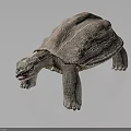 Realistic Turtle With Textured Shell Standing On Dark Surface Detailed Skin And Lifelike Design