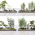 Courtyard sketch stone landscape stone rockery sketch landscape tree withered landscape sketch pine bamboo indoor landscape 3d model