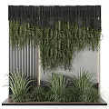 Green Plant Wall With Hanging Vines And Black Slatted Panels On Concrete Background