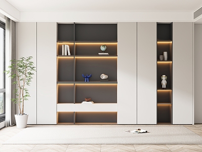 Modern bookcase 3d model