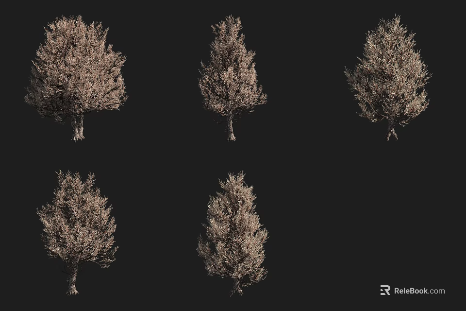 Various Arbor Trees With Different Growth Forms Isolated On Black Background 3d model