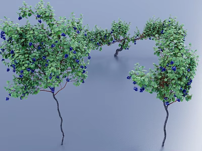 Healthy Blueberry Bushes With Green Foliage And Ripe Blue Fruits 3d model