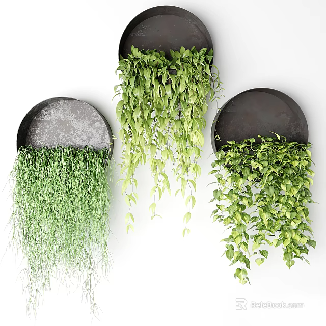 Black Hanging Planters With Lush Trailing Green Plants And Various Foliage Types 3d model 