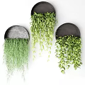 Black Hanging Planters With Lush Trailing Green Plants And Various Foliage Types