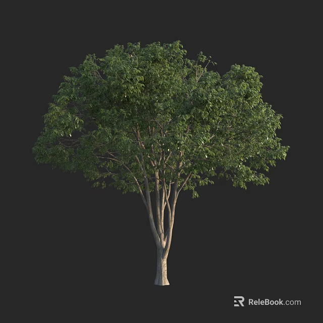 Lush Green Tree With Dense Canopy And Strong Trunk In Natural Setting 3d model