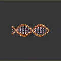 DNA Double Helix Structure Linking Organ And Hair Molecular Components