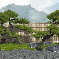Japanese Pine Trees in Zen Garden with Bamboo Fence Mossy Rocks and Misty Mountain Backdrop