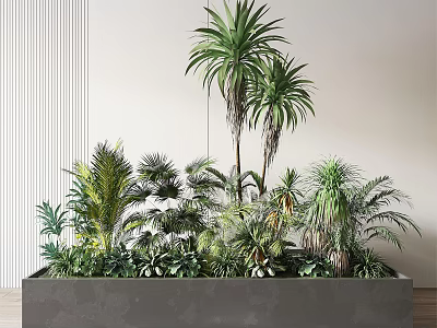 Indoor Bonsai Potted Plants With Various Green Foliage In Long Concrete Planter 3d model