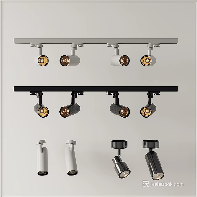 Stylish Track Mounted Downlights And Spotlights With Adjustable Heads In Black And White 3d model 