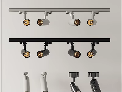 Stylish Track Mounted Downlights And Spotlights With Adjustable Heads In Black And White 3d model