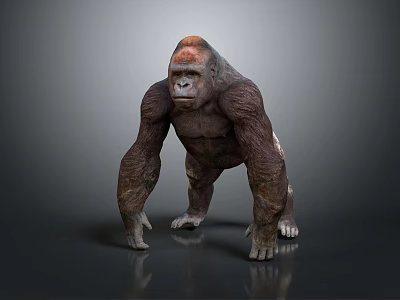 Reptile 3D Model Standing On Gray Background With Realistic Skin Texture 3d model