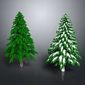 Two Pine Trees One Green and One Snow Covered in Natural Scene 3d model