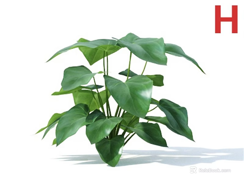 Fresh Green Plant With Large Leaves In Decorative Vase For Indoor Decor 3d model 