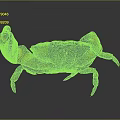 Realistic Rusty Brown Crab With Large Claws And Textured Shell On Gray Surface