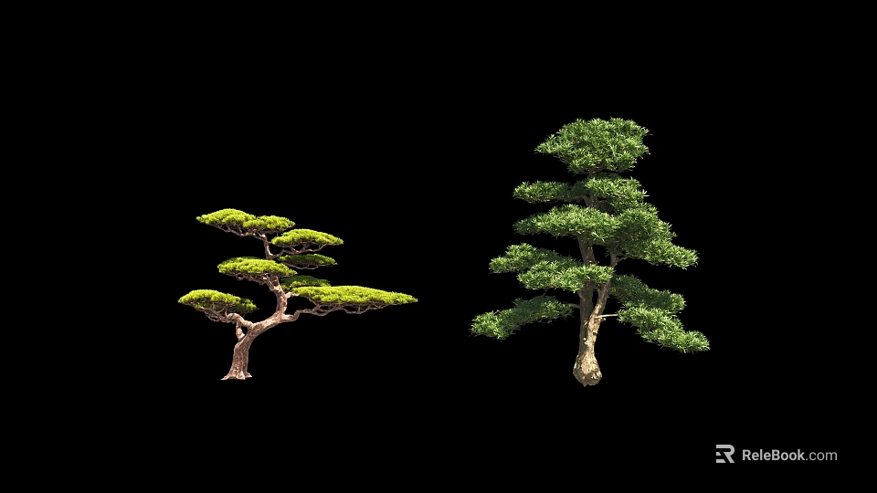 Two Green Arbor Trees With Curved And Upright Branches Against Black Background 3d model 