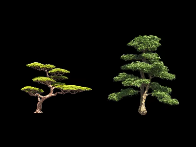 Two Green Arbor Trees With Curved And Upright Branches Against Black Background 3d model
