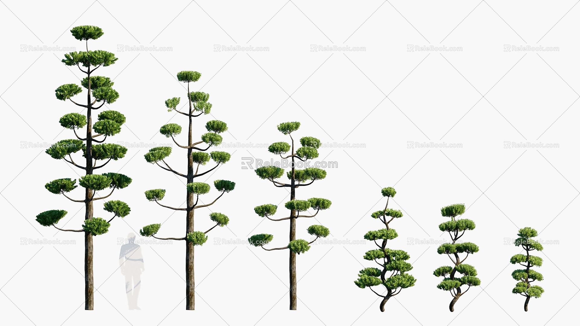 Plants Trees Trees Landscape Trees Arbor 3d model