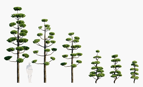 Plants Trees Landscape Trees Arbor 3d model