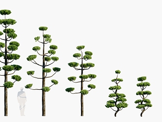 Plants Trees Landscape Trees Arbor 3d model