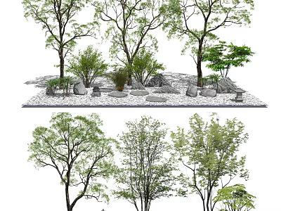 Arboreal Trees in Natural Landscape Design with Stones and Green Shrubs 3d model