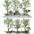 Arboreal Trees in Natural Landscape Design with Stones and Green Shrubs