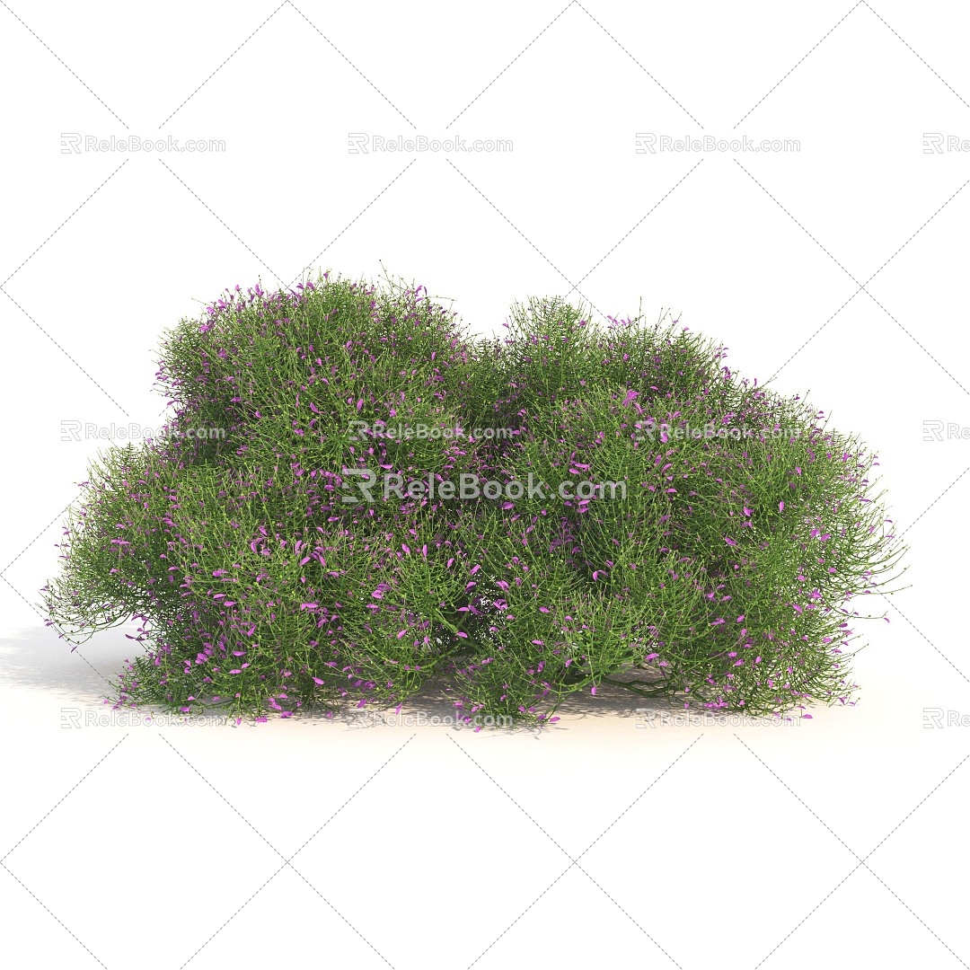 plant green plant shrub ball flowers flowers 3d model