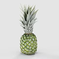 Fresh Green Ripe Juicy Pineapple With Crown Leaves On White Background
