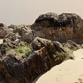 Large Stone Formations With Dark Seaweed And Wooden Accents On Sandy Coastal Terrain