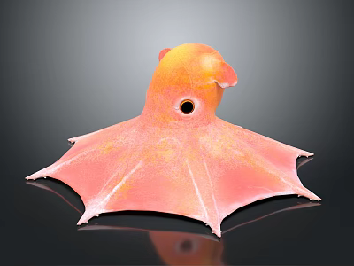 Orange and Pink Octopus Like Creature With Large Eye And Wing Shaped Tentacles 3d model