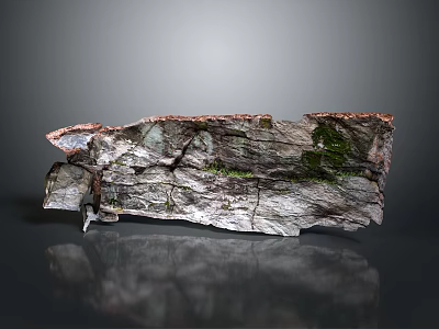 Organic Wood Stone Slab With Moss Covered Cracked Texture And Natural Rustic Charm 3d model