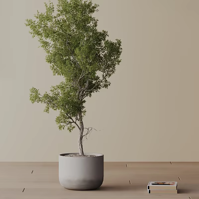 Bonsai Tree In White Cylindrical Pot With Lush Green Leaves On Wooden Table 3d model