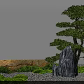 Natural Courtyard Garden With Pine Tree Rocks Green Grass And Gravel