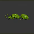 Green Shiny Ant 3D Model With Detailed Body And Legs On Gray Background