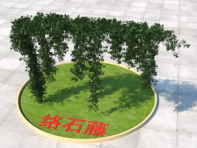 Lush Chinese Star Jasmine Hanging Over Circular Lawn On Stone Pavement 3d model