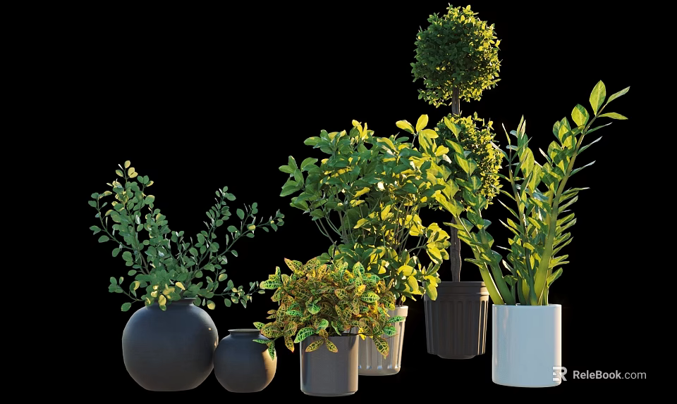 Various Bonsai Potted Plants With Lush Green Foliage And Diverse Ceramic Planters 3d model 