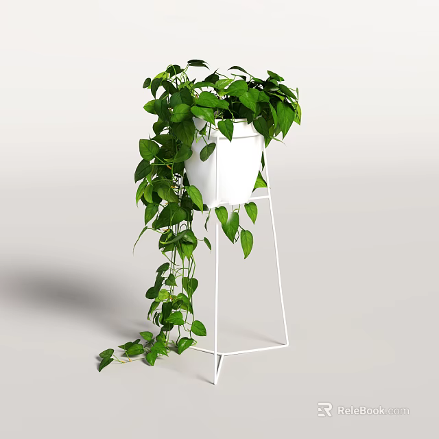 Potted Plant With Hanging Green Leaves And Trailing Vines In White Pot On White Stand 3d model 