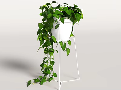 Potted Plant With Hanging Green Leaves And Trailing Vines In White Pot On White Stand 3d model
