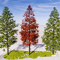 Three Trees with Red Center Foliage and Green Side Leaves Against Blue Sky