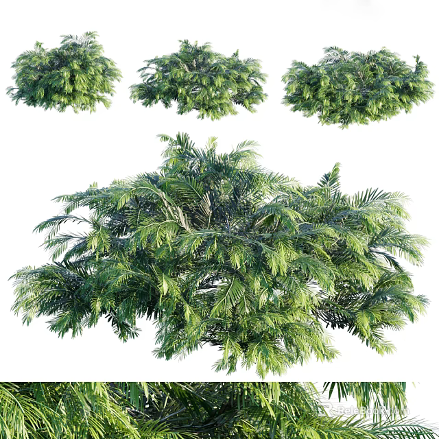 Green Shrub Plants With Lush Foliage For Garden Landscaping Design 3d model 