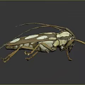 Detailed Longhorn Beetle With Long Antennae Brown White Spotted Body And Orange Legs