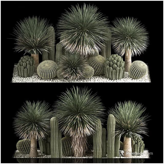 Various Cactus Types Bonsai Potted Plants with Green Foliage and Small Stones 3d model 