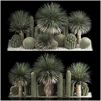 Various Cactus Types Bonsai Potted Plants with Green Foliage and Small Stones 3d model