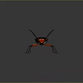 Red Headed Insect Featuring Black Wings Red And Black Body Long Red Legs Shiny Surface