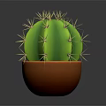 Healthy Green Spherical Cactus Plant with Sharp Thorns in Brown Ceramic Pot