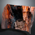 Natural Garden Landscape Featuring Weathered Wood with Bird Nest and Organic Texture