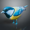 Vibrant Blue Yellow White Plumage Bird Standing On Black Surface With Visible Reflection 3d model