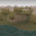 Tall Grasses With White Plumes Growing Near Water In Natural Landscape